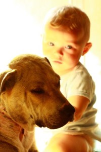 baby and dog 2